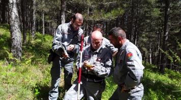 Forestry Carabinieri (Calabria field surveys crew)